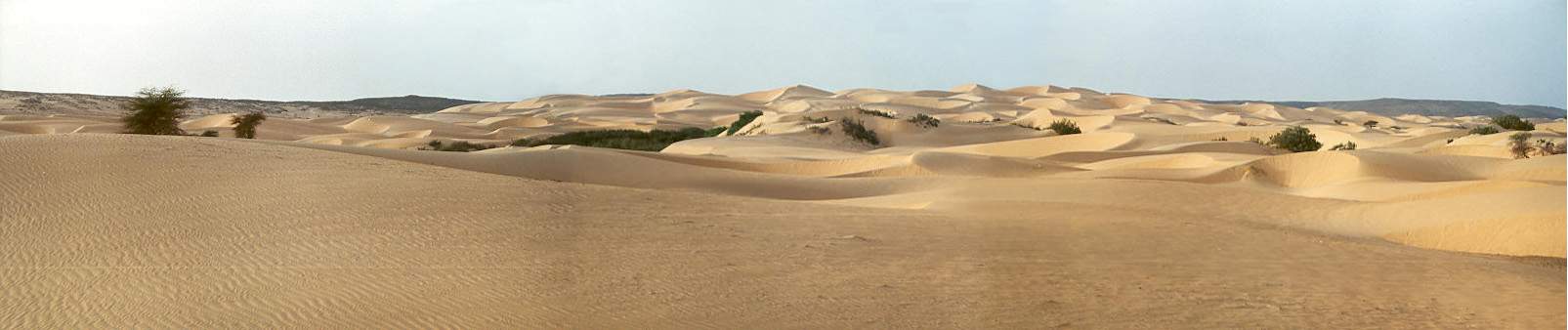 Champ de dunes